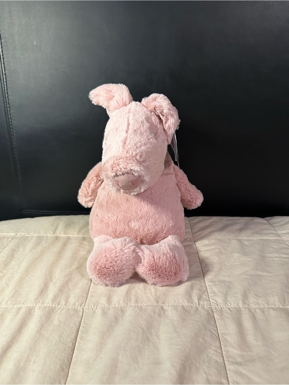 Jellycat Rumpa Pig - Picture 3 of 6